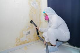 Best Crawl Space Mold Remediation  in Alum Rock, CA